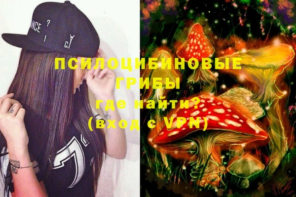 хмурый Михайловск