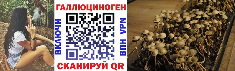Псилоцибиновые грибы Psilocybe  купить наркотики цена  Таруса 